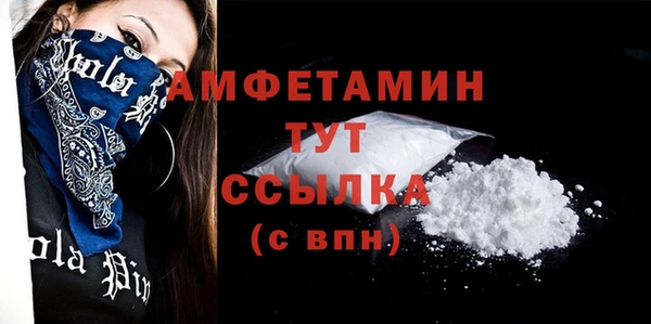МДПВ Вяземский