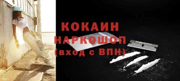 МДПВ Вяземский