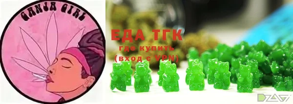 МДПВ Вяземский
