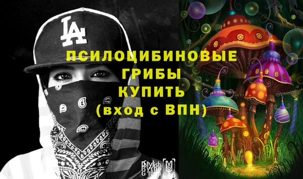 МДПВ Вяземский
