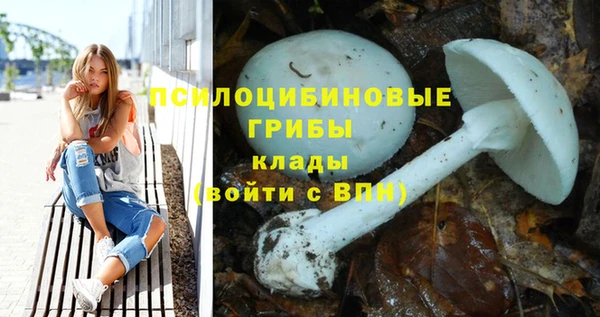 МДПВ Вяземский