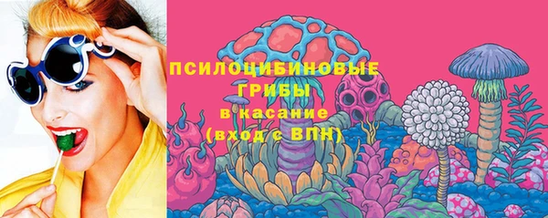 МДПВ Вяземский