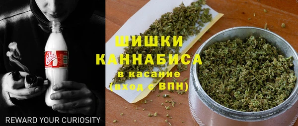 ГАЛЛЮЦИНОГЕННЫЕ ГРИБЫ Вязьма
