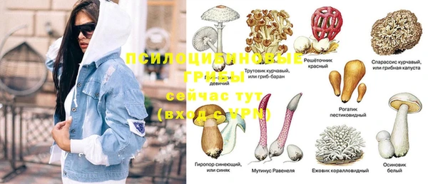 МДПВ Вяземский