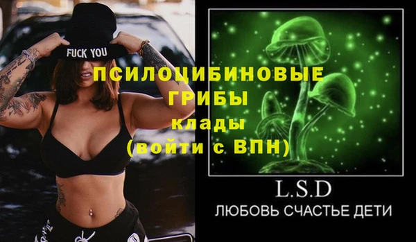 МДПВ Вяземский